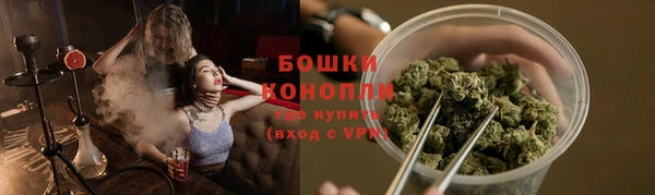 дживик Бронницы