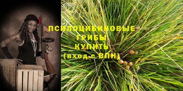 дживик Бронницы