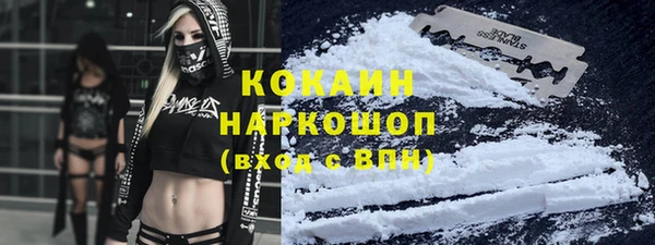 дживик Бронницы