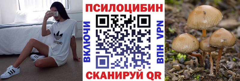 сколько стоит Городовиковск Псилоцибиновые грибы мухоморы